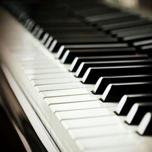 纯黄拳交黄黄色视视频
